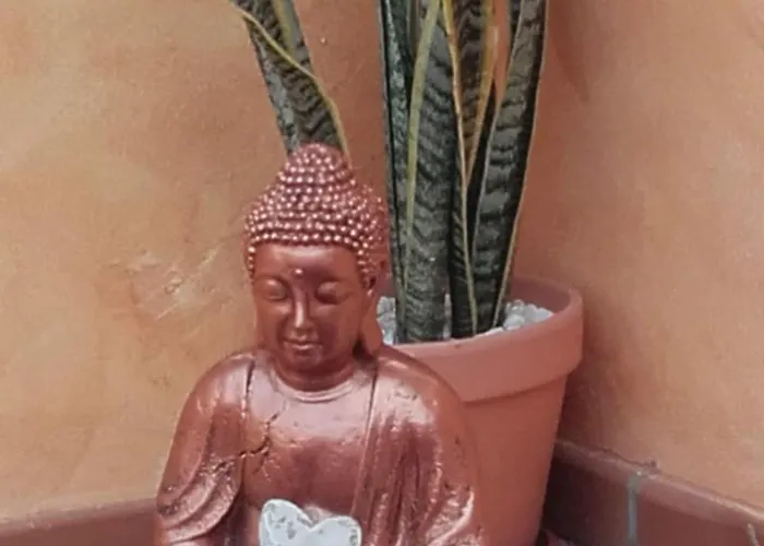 Seahaus Fuerte Corralejo