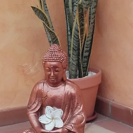 Seahaus Fuerte コラレホ